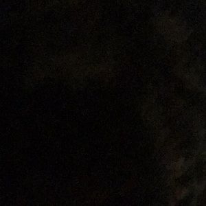 Meet your Posher, Travis